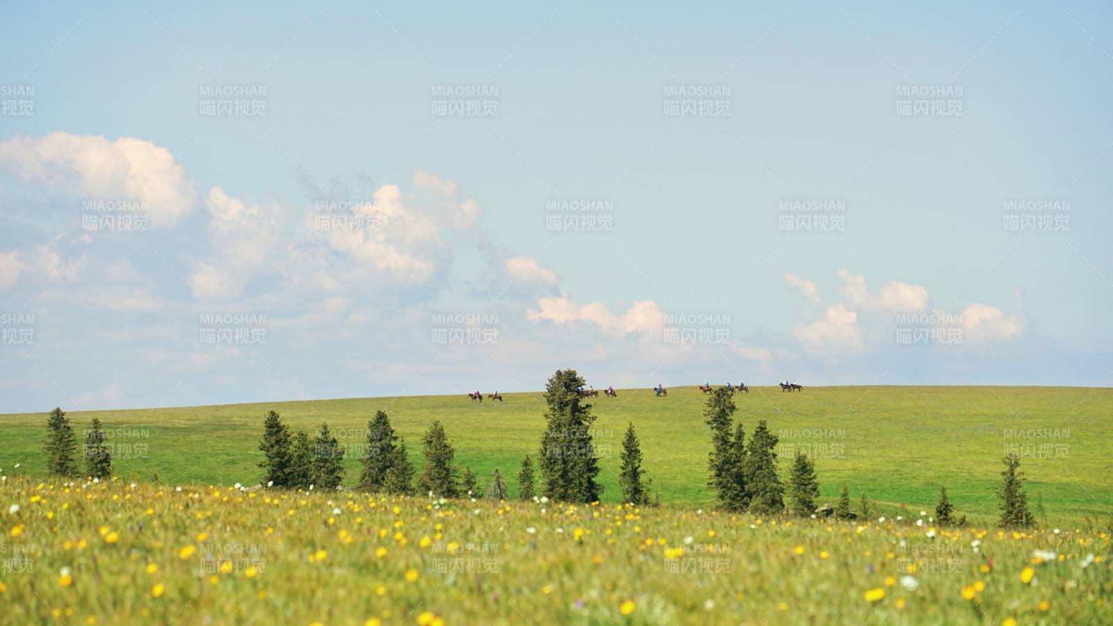 喀拉峻草原策马扬鞭图片