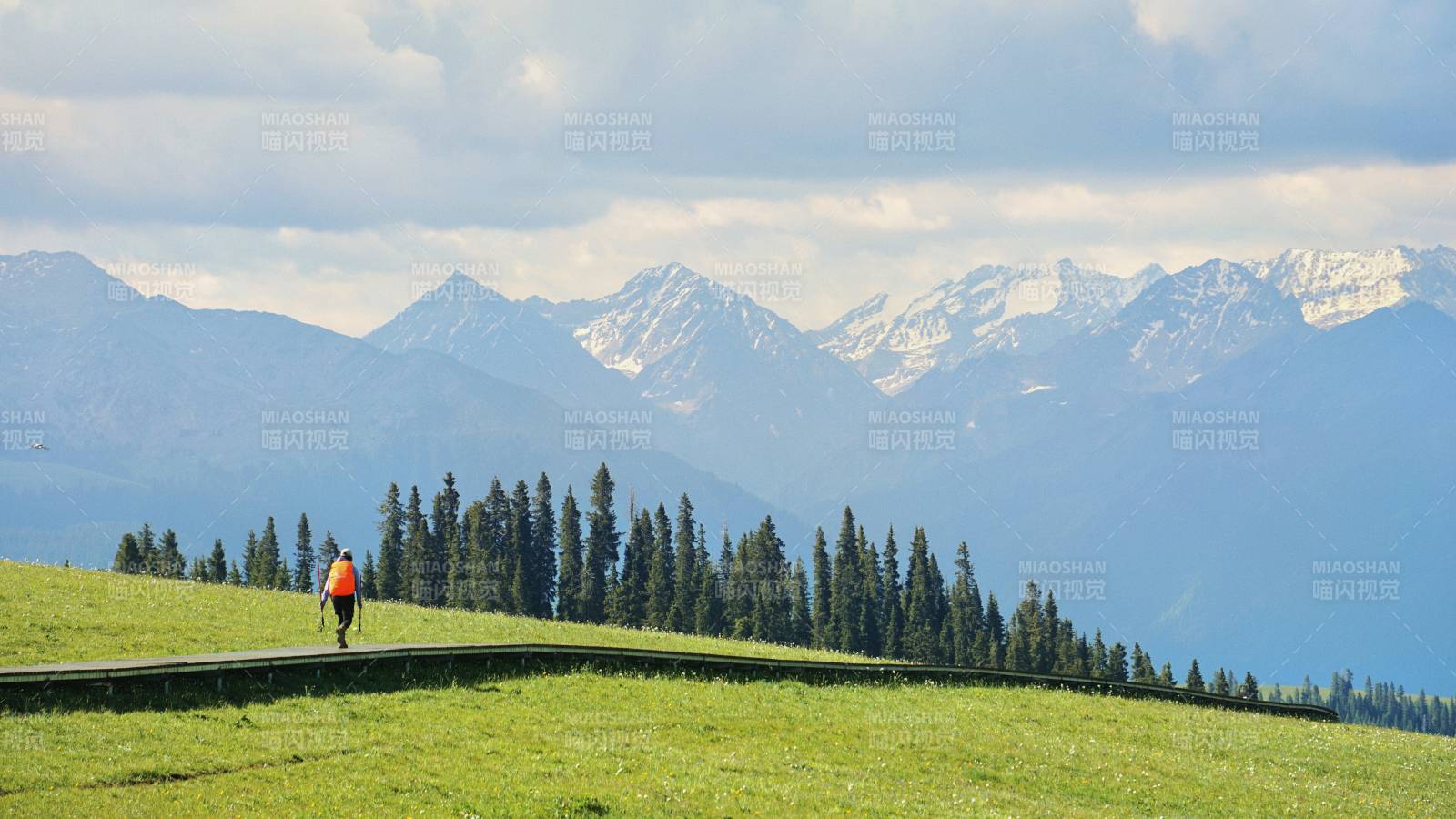 喀拉峻草原• 独行者远眺雪山图片