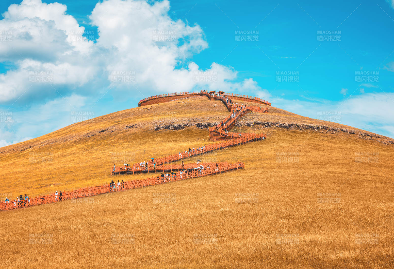 金色草原上的木栈道  莫尔格勒河景区图片