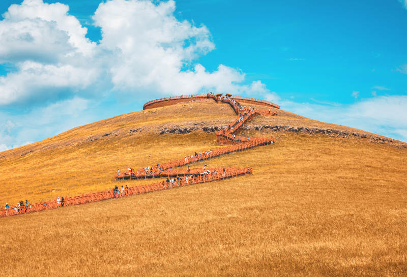 金色草原上的木栈道  莫尔格勒河景区图片