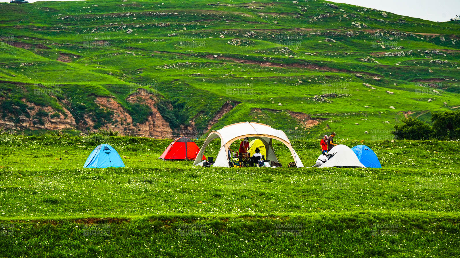 蔚县西刑岭高山露营帐篷点缀绿野山坡图片