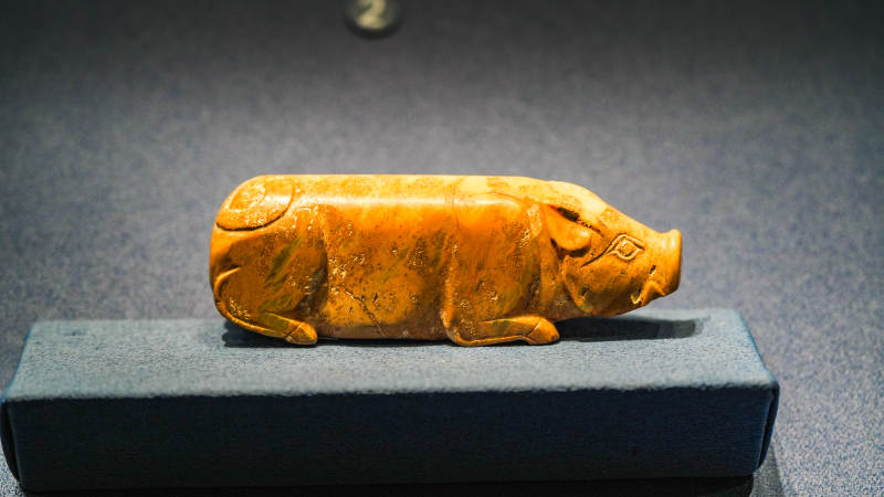 玉猪雕塑静展古韵--   山西省博物馆图片