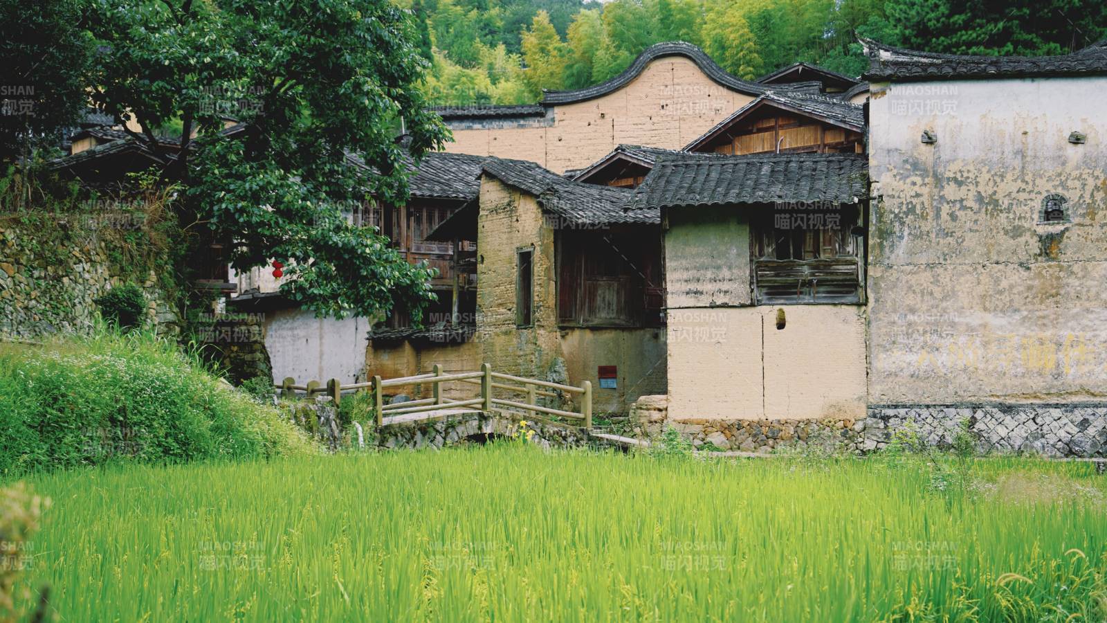 古宅与稻香图片