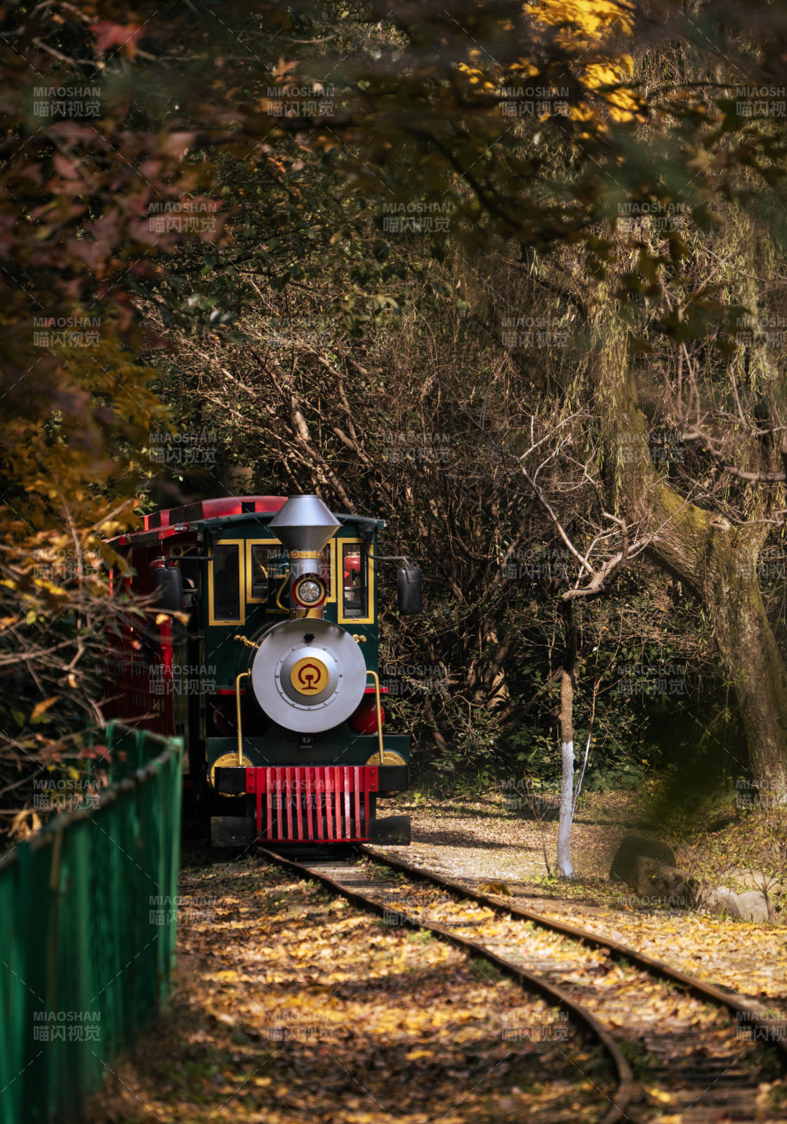 秋林小火车图片
