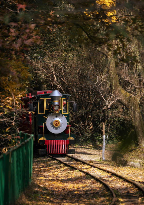 秋林小火车图片