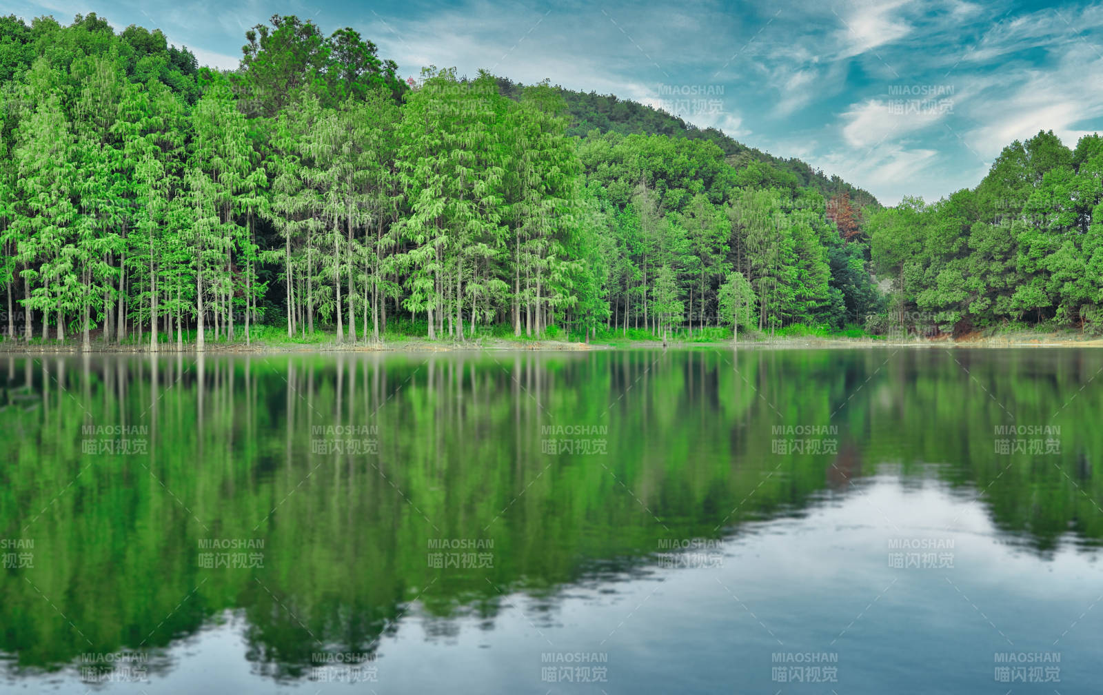 青龙山绿道湖畔绿林倒影如画图片