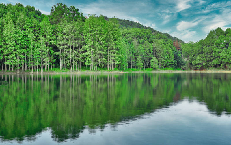 青龙山绿道湖畔绿林倒影如画图片