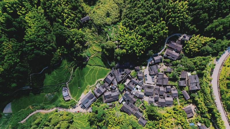 厦地古村航拍图图片