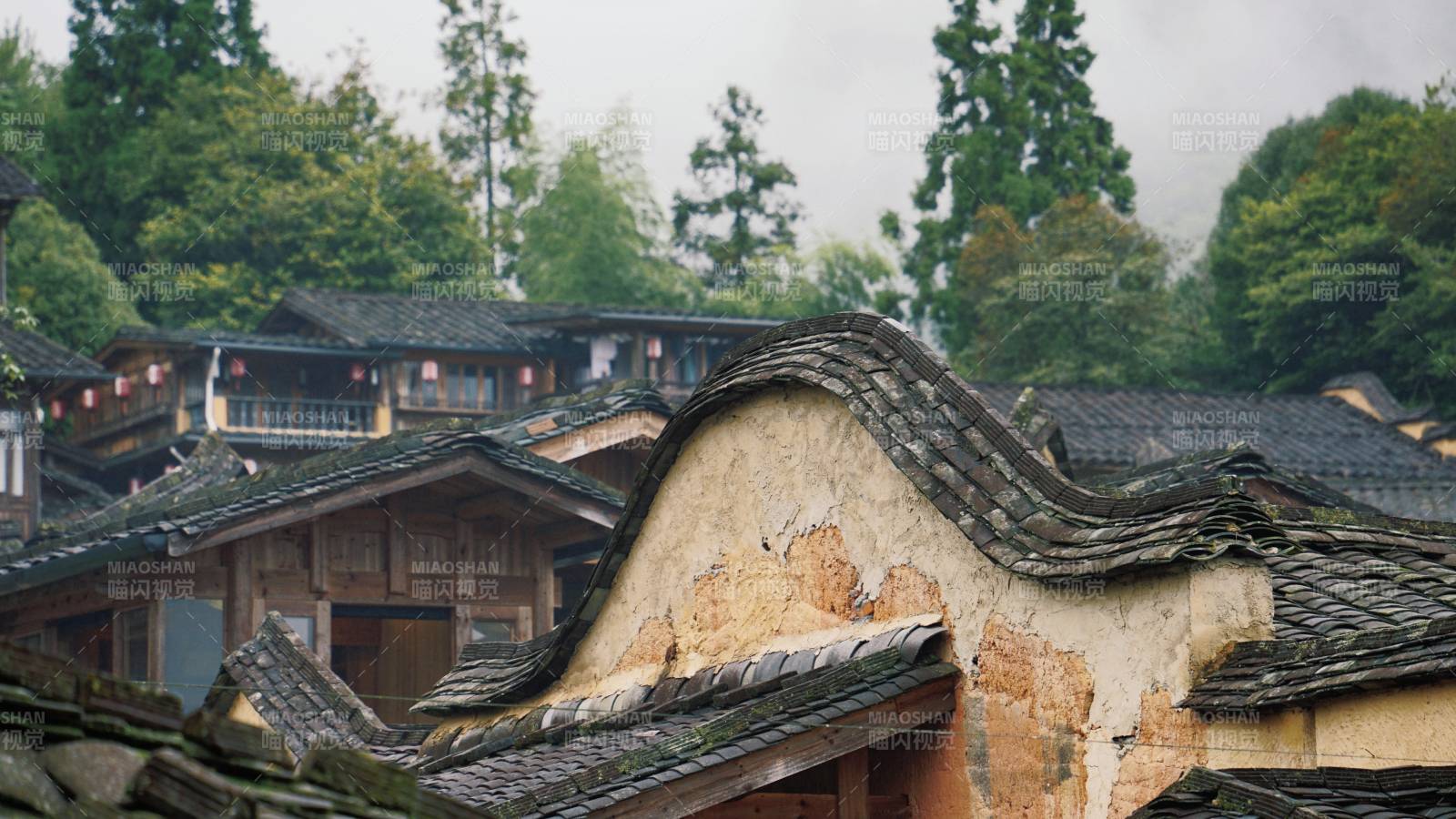 龙潭古村 雾中静谧图片