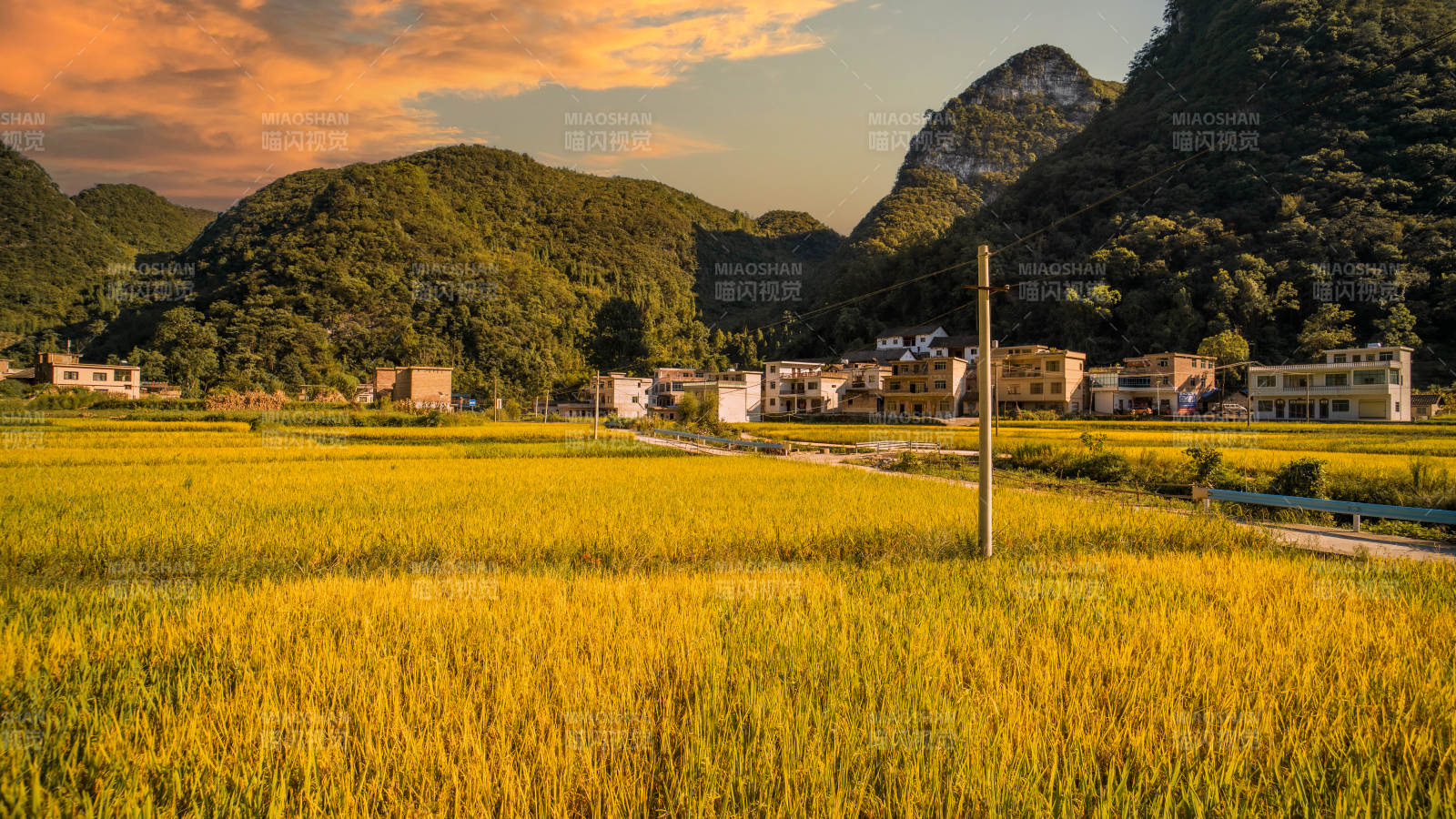 田园风光 ，金秋时节图片