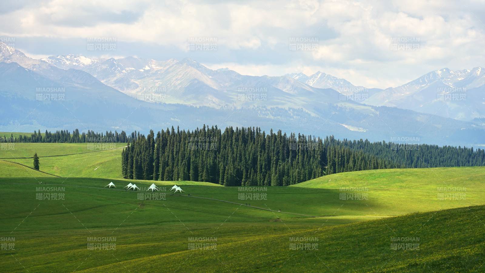 喀拉峻大草原图片