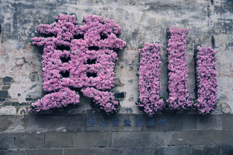 黄山 花墙映古韵图片