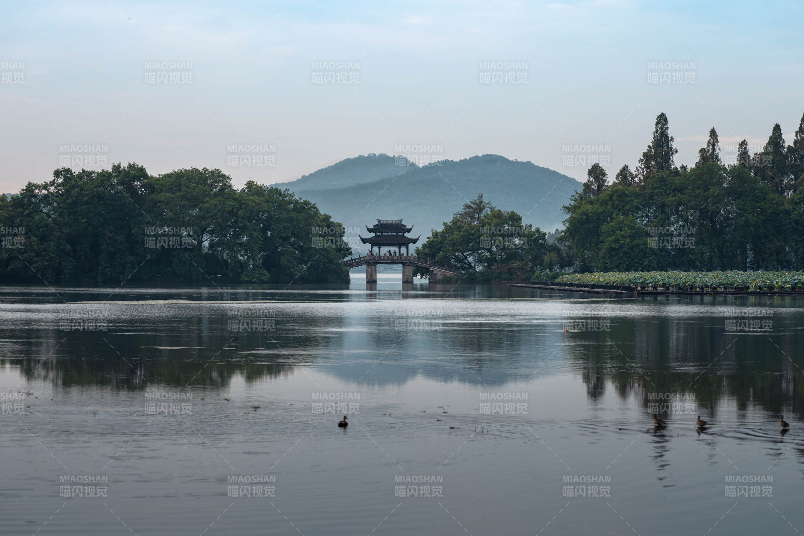 西湖玉带桥湖光山色 亭台倒影图片