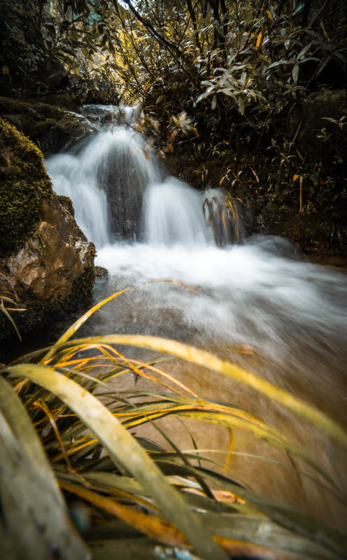 山涧溪流 绿意盎然图片