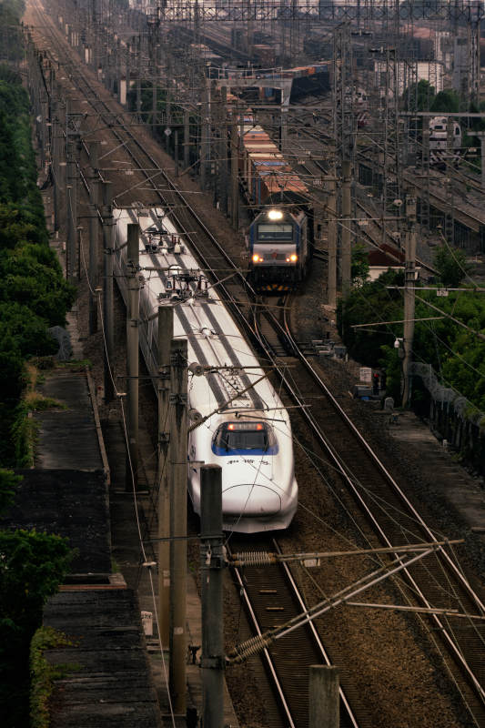 高铁与货运列车交汇瞬间图片