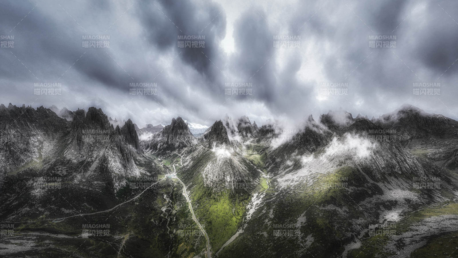 川西莲宝叶则图片