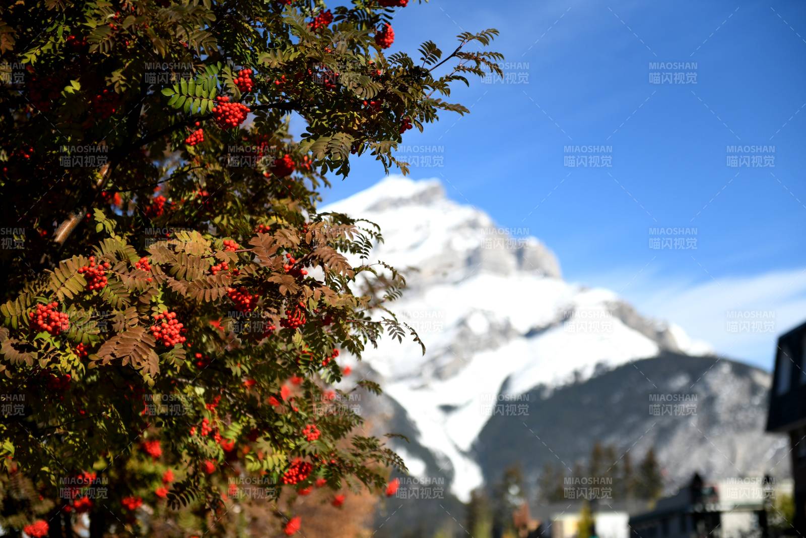 秋日山景与红叶点缀图片