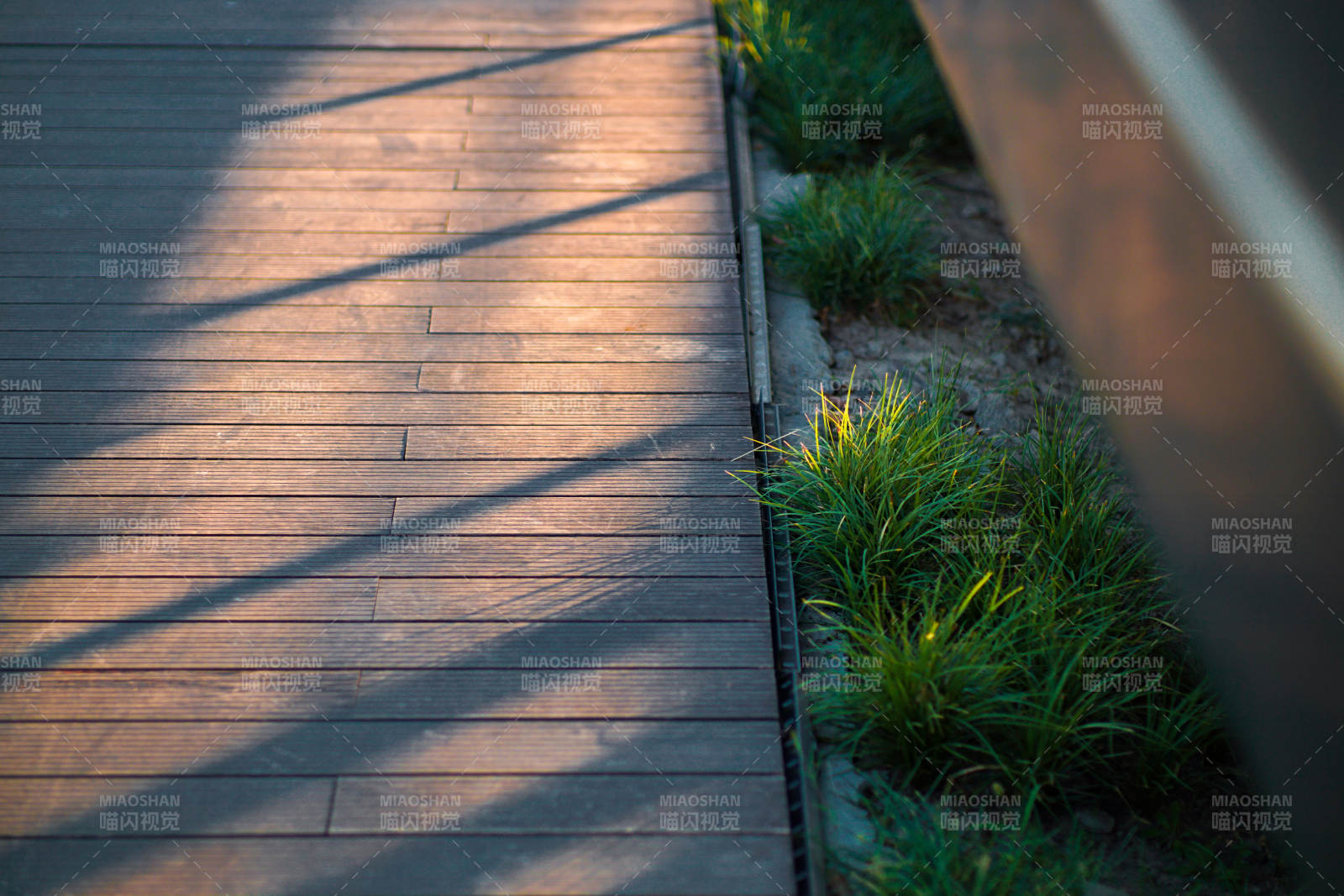 夕阳下的木桥小径图片