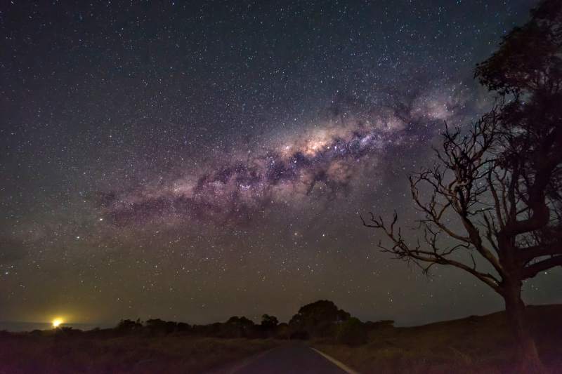 银河夜景与孤树剪影图片