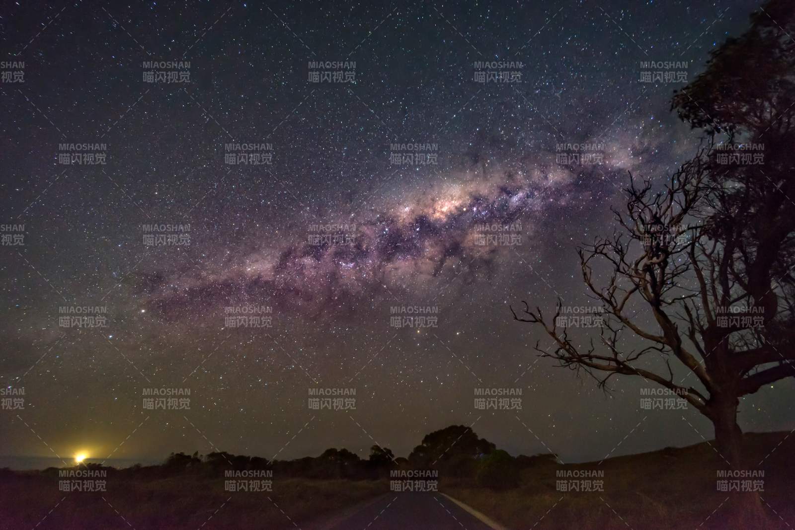 银河夜景与孤树剪影图片