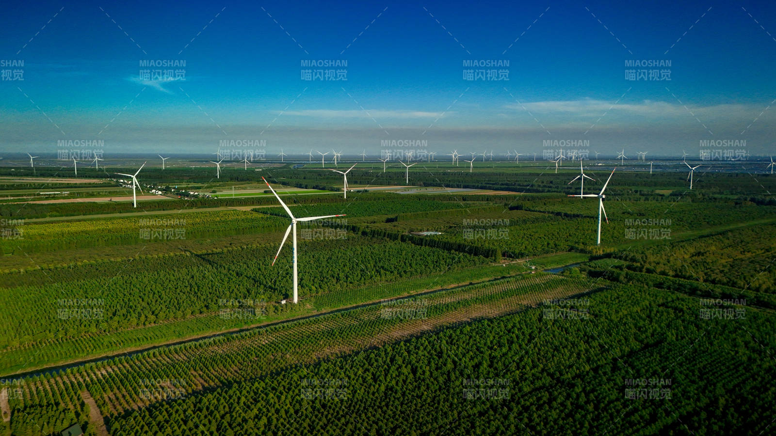 盐城黄海森林风车图片