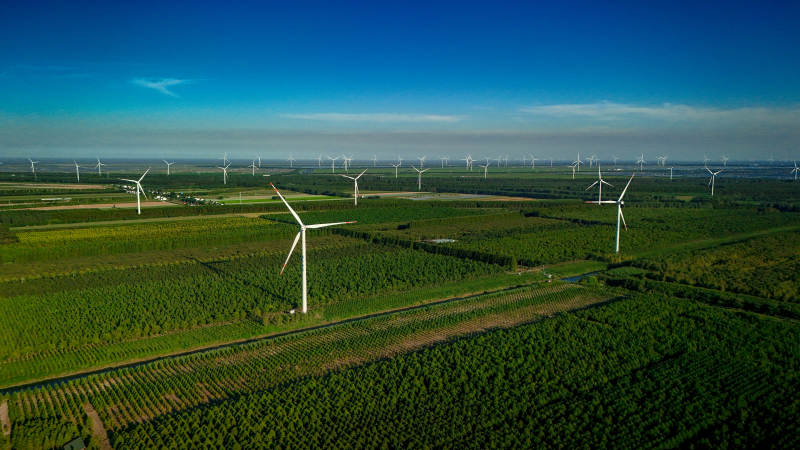 盐城黄海森林风车图片