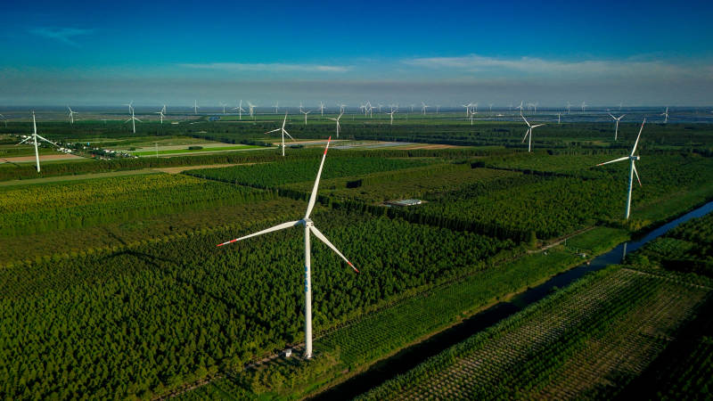 盐城黄海森林风车图片