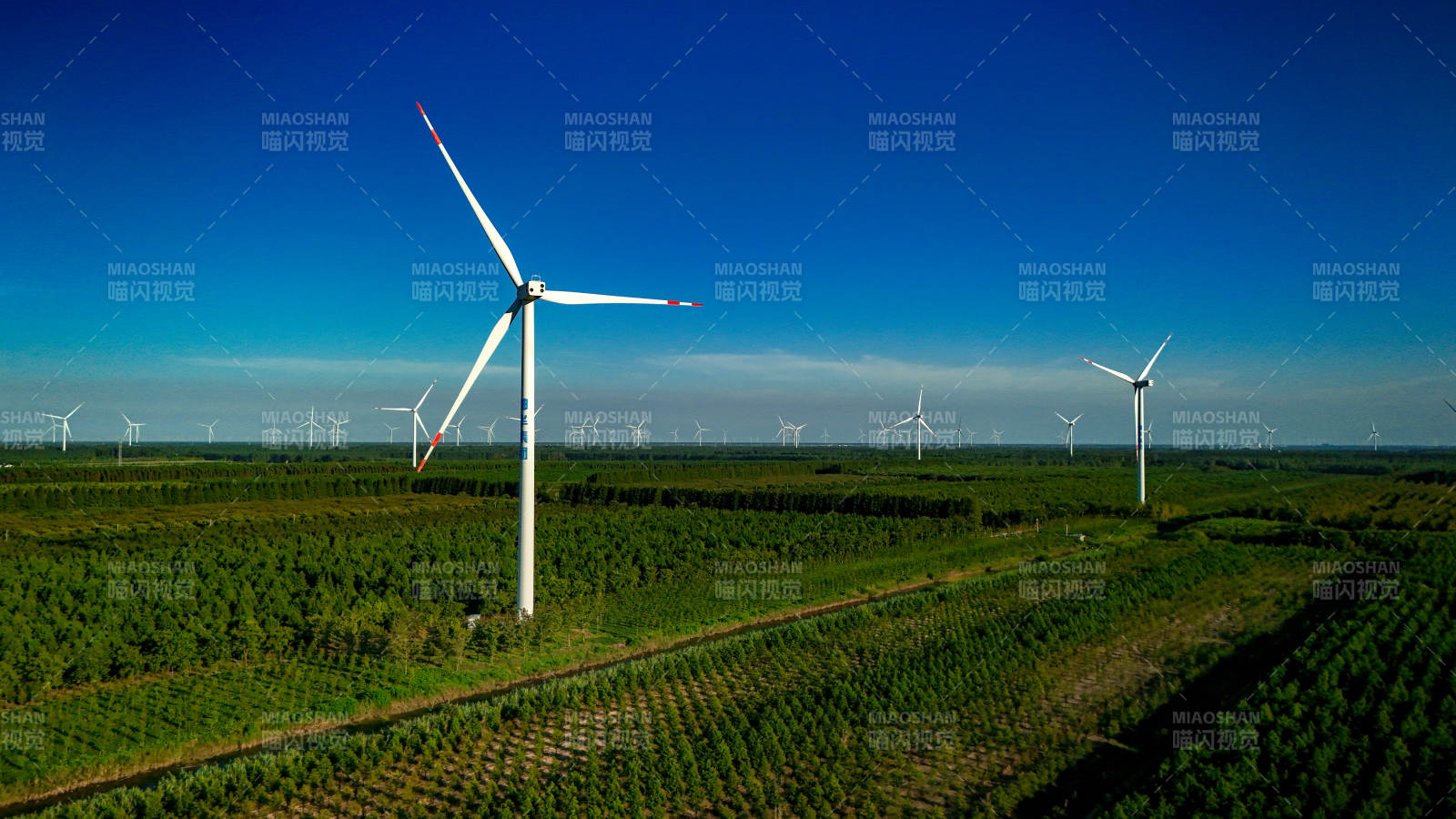 风力发电场的绿色能源图片