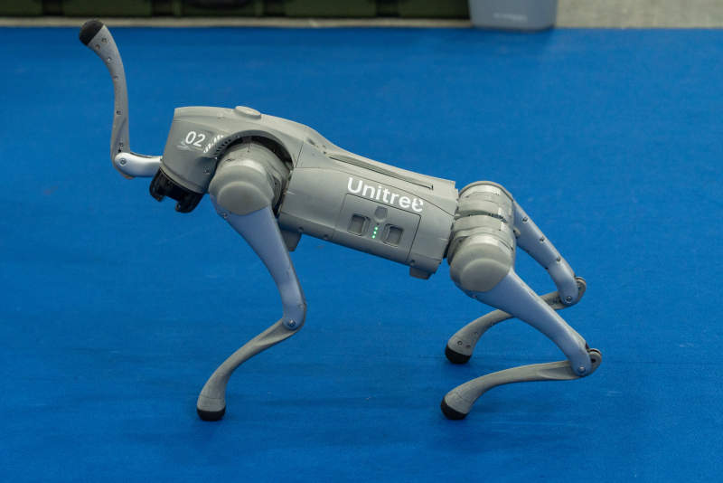 宇树四足机器狗展示图片