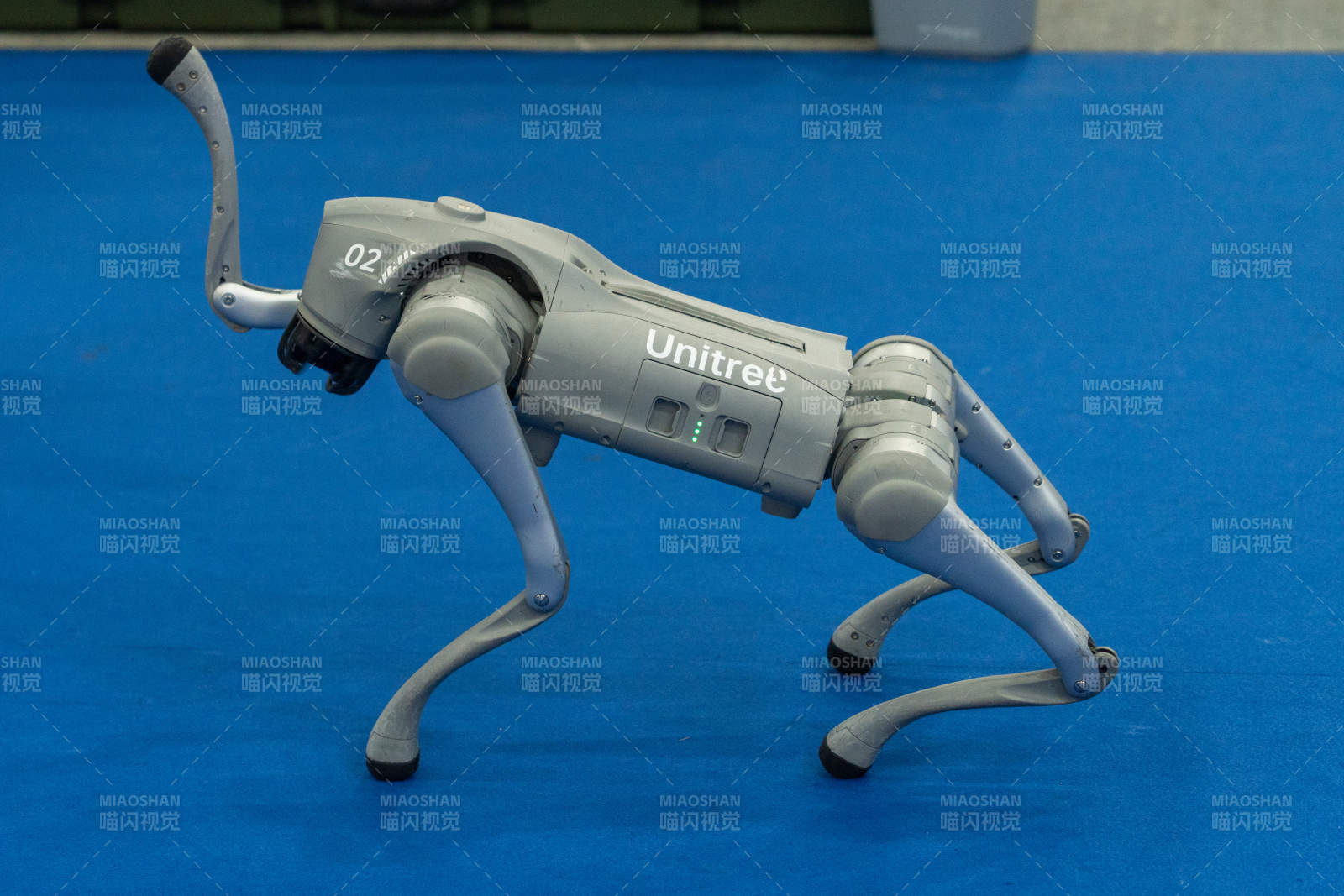 宇树四足机器狗展示图片