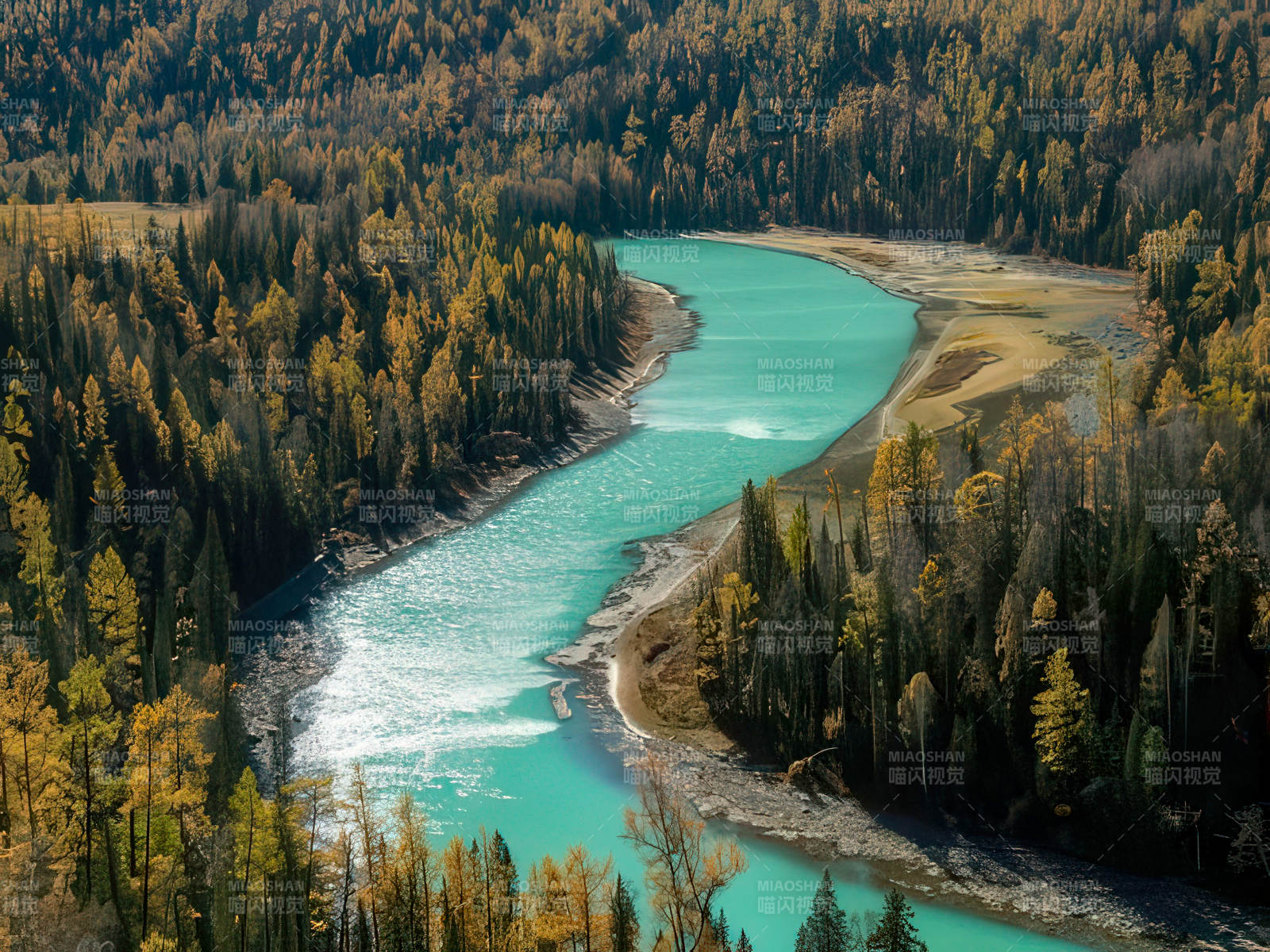 新疆喀纳斯的碧水河图片