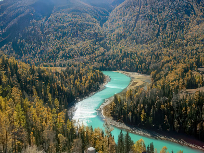新疆喀纳斯美丽的秋景图片