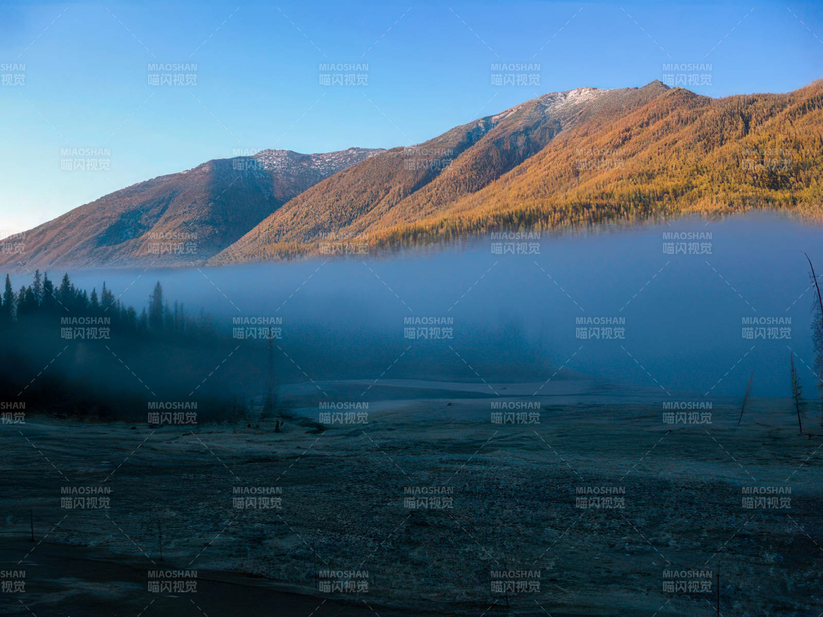 新疆喀那斯美丽的早晨图片