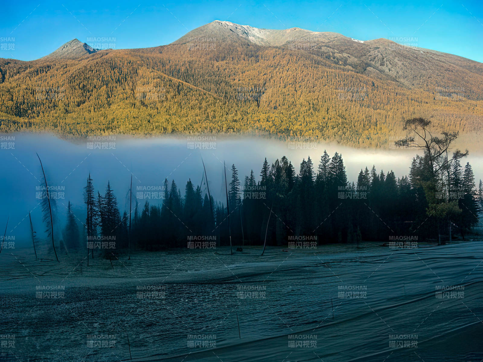 新疆喀那斯的晨雾图片