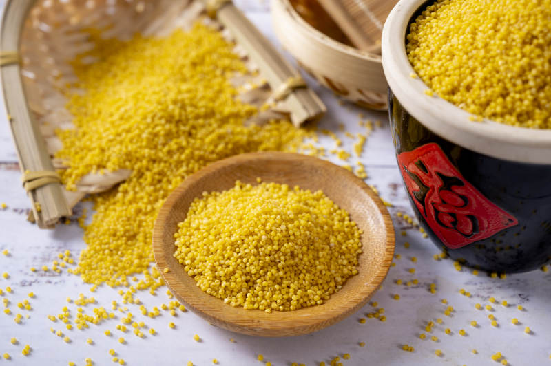 小米粒的丰收景象图片