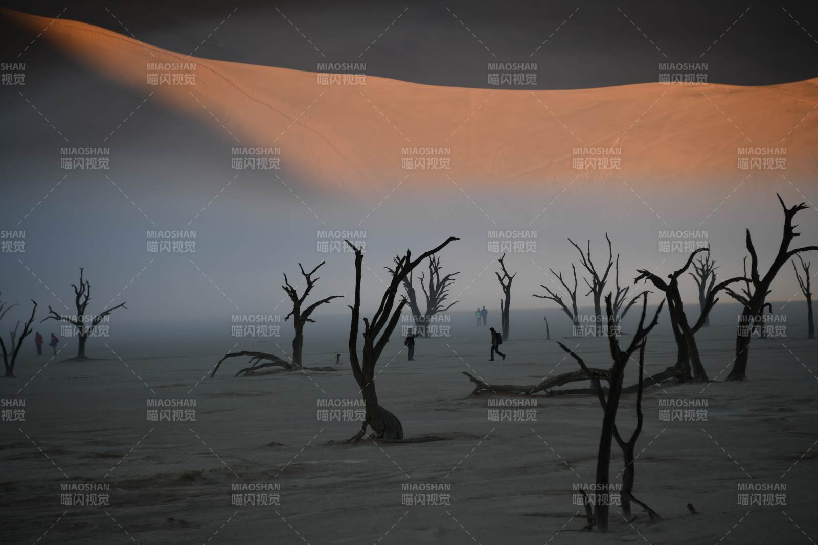 纳米比亚沙漠晨曦 枯树剪影图片