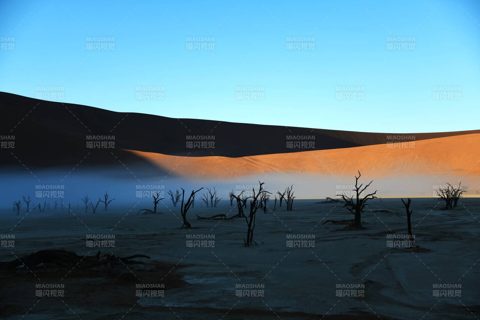 纳米比亚沙漠晨曦 枯树剪影图片