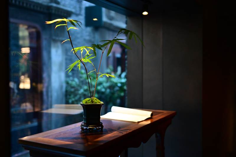 窗边绿植与古卷相映成趣图片