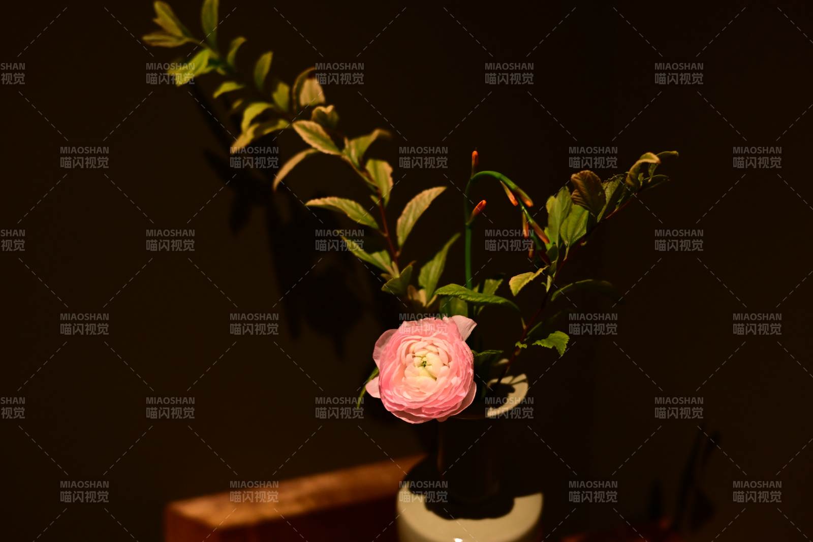 静谧花影 柔光相伴图片