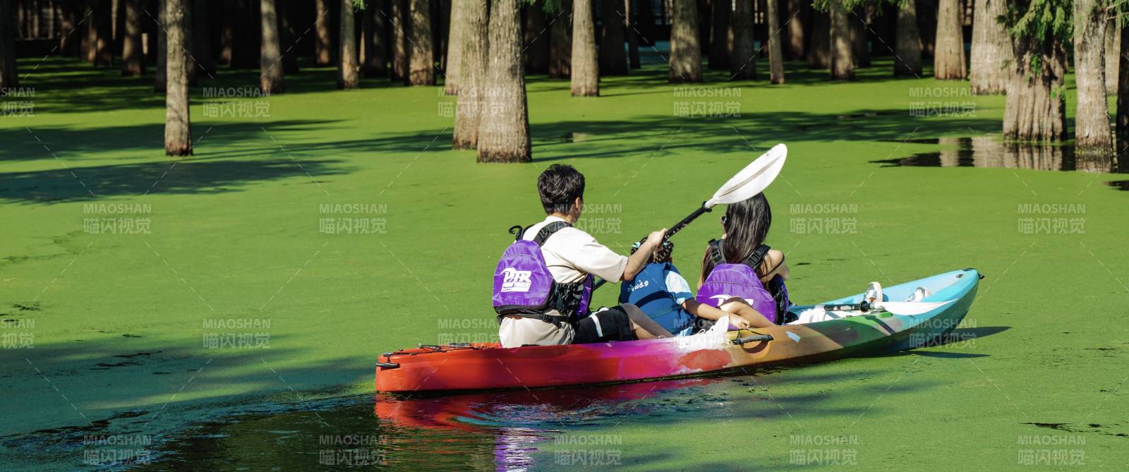 湖上双人划桨 绿意盎然——青山湖水上森林图片