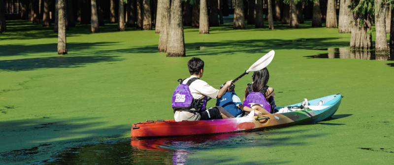 湖上双人划桨 绿意盎然——青山湖水上森林图片