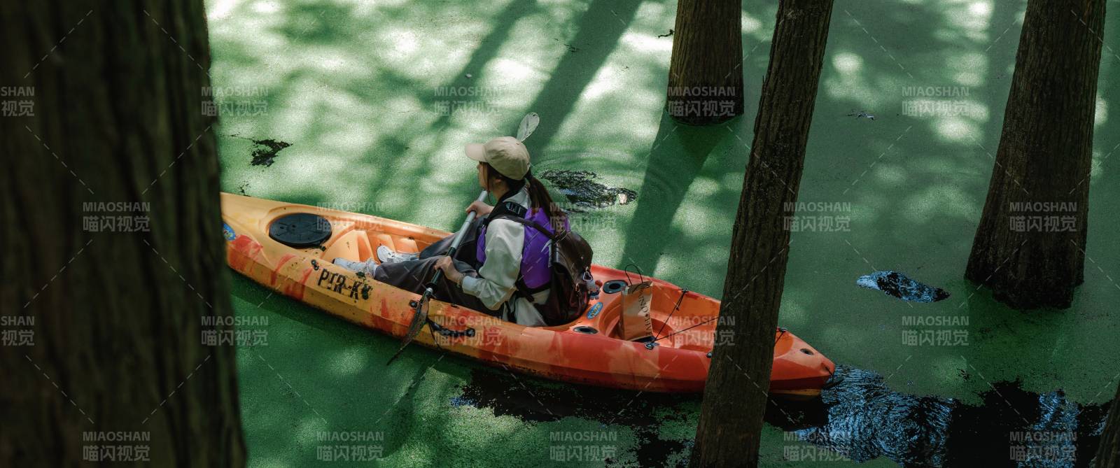 青山湖水上森林林间水道 独舟探险图片