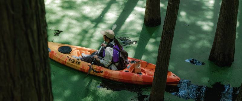 青山湖水上森林林间水道 独舟探险图片
