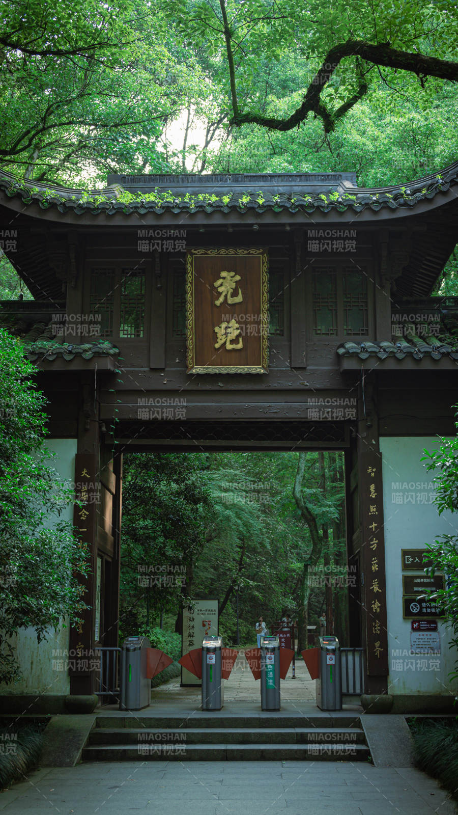 古寺幽径 绿树成荫——虎跑图片