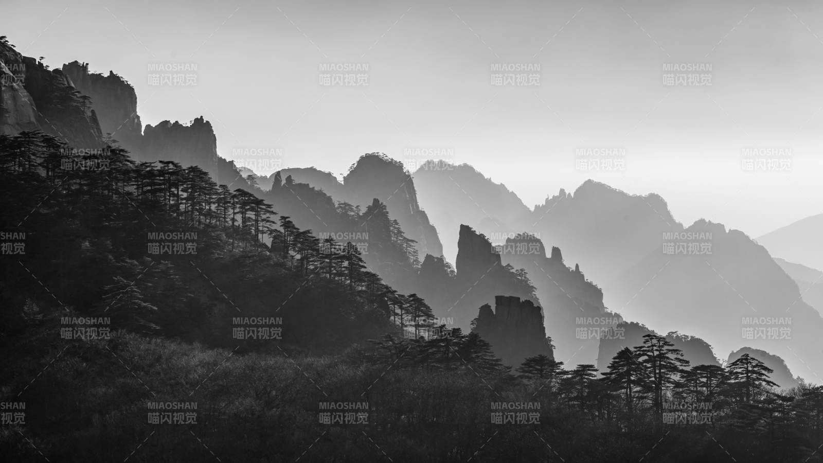 黄山松影 层峦叠嶂 云影朦胧图片