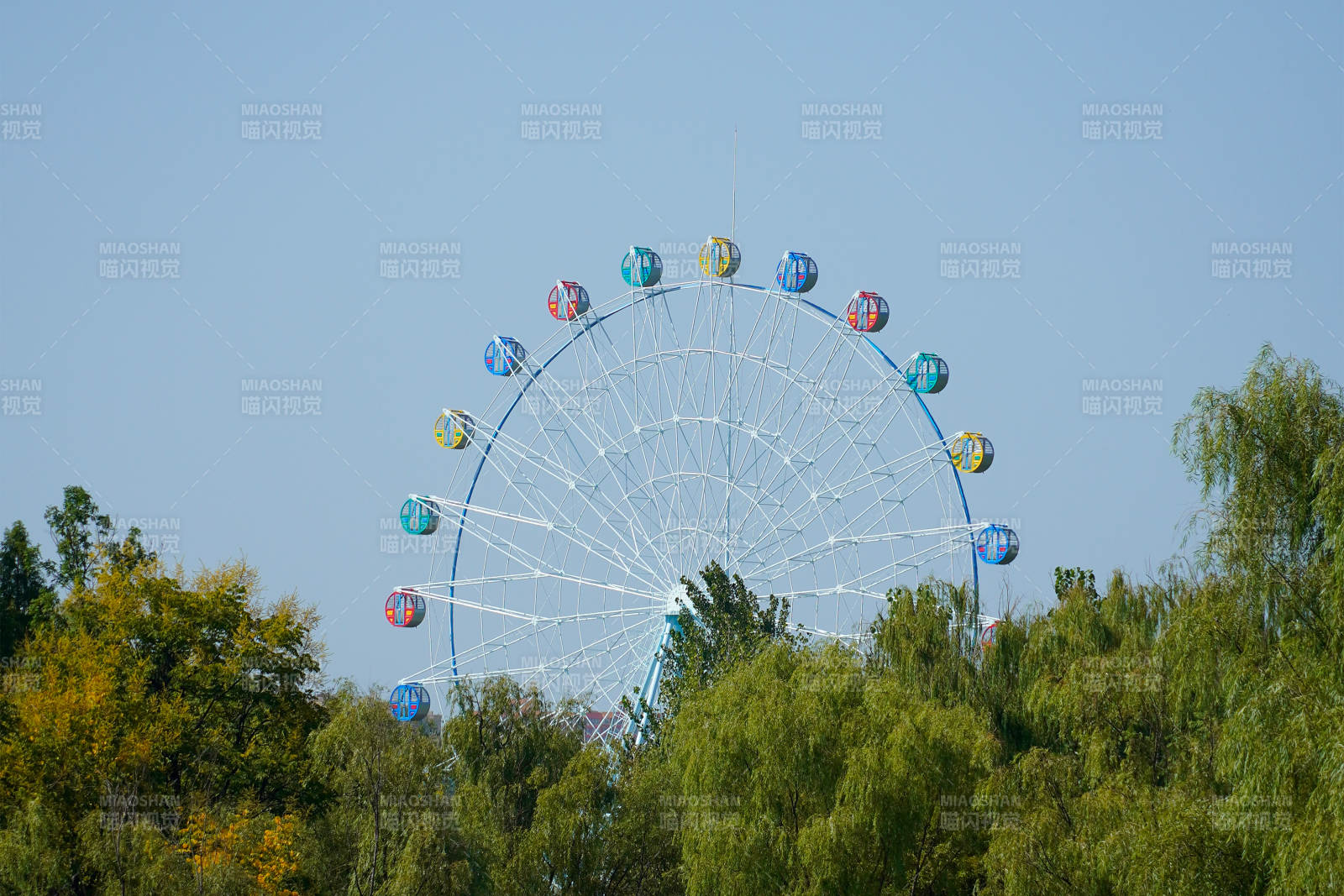 摩天轮与绿树相映成趣浐灞图片