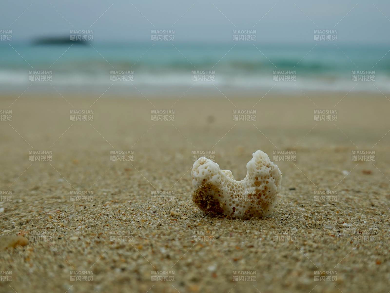 沙滩上的珊瑚碎片图片