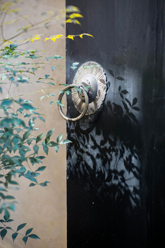 古门环影 绿叶轻拂图片