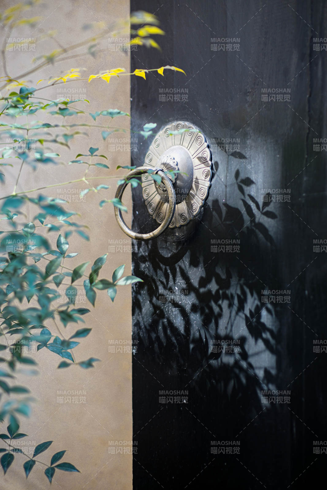 古门环影 绿叶轻拂图片