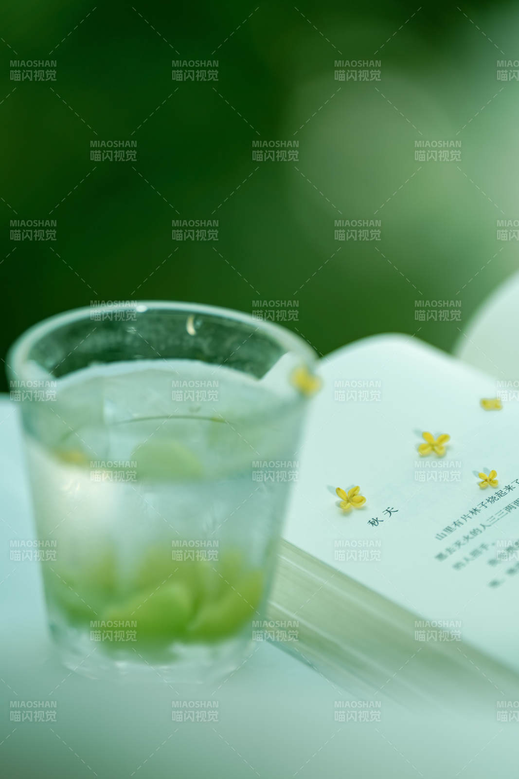 绿意盎然 书香伴茶图片